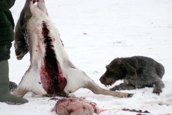 Killikus&reg; Fotographie